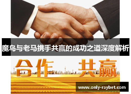 魔鸟与老马携手共赢的成功之道深度解析 魔鸟与老马携手共赢的成功之道深度解析