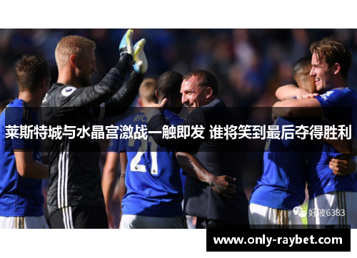 莱斯特城与水晶宫激战一触即发 谁将笑到最后夺得胜利
