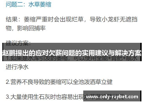 赵鹏提出的应对欠薪问题的实用建议与解决方案 赵鹏提出的应对欠薪问题的实用建议与解决方案