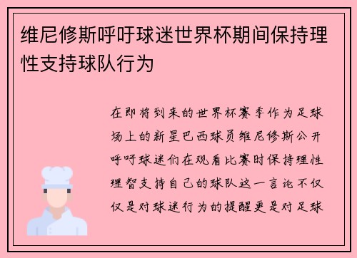 维尼修斯呼吁球迷世界杯期间保持理性支持球队行为