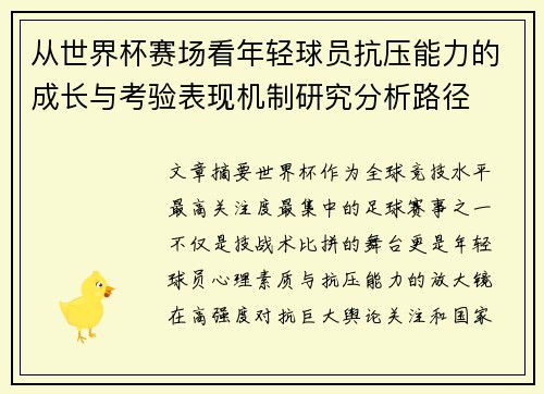 从世界杯赛场看年轻球员抗压能力的成长与考验表现机制研究分析路径